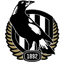 Collingwood Magpies