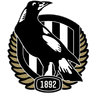 Collingwood Magpies