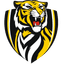 Richmond Tigers