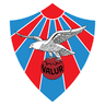 Valur Reykjavik