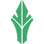 HAVU
