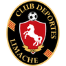 Deportes Limache